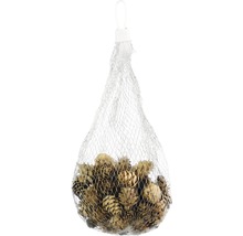 Zapfen im Netz zum Dekorieren