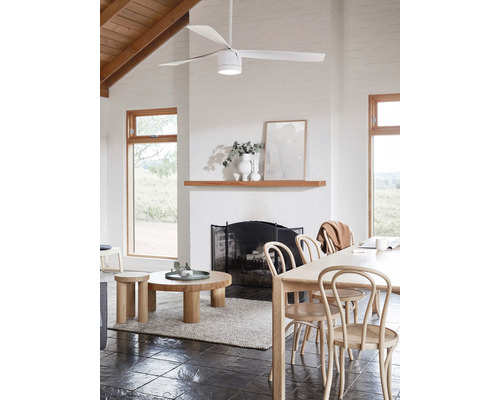 Pièce lumineuse avec ventilateur de plafond, table à manger et cheminée