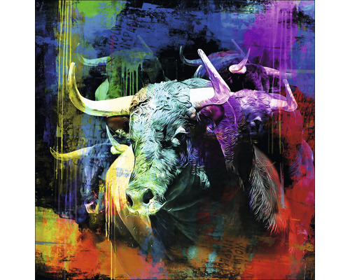 Tableau en verre Colorful Bull Head 50x50 cm