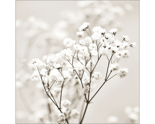 Tableau en verre Meadow flowers I 30x30 cm