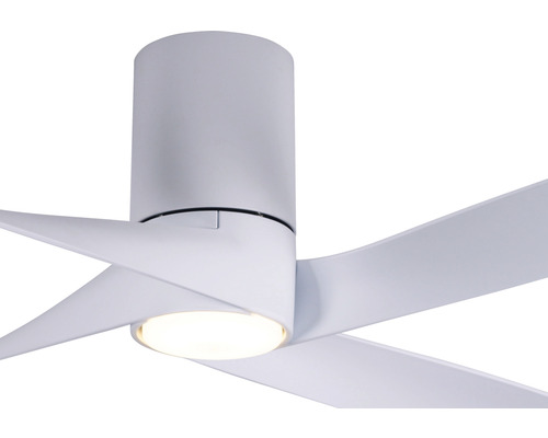 Ventilateur de plafond avec pales et éclairage intégré
