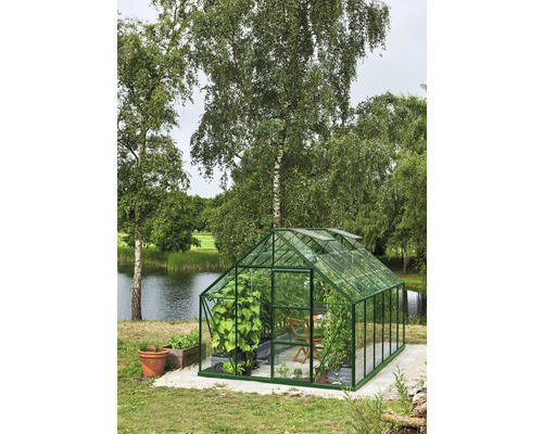 Serre Halls Universal 128 verre incolore 3 mm 257 x 384 cm vert