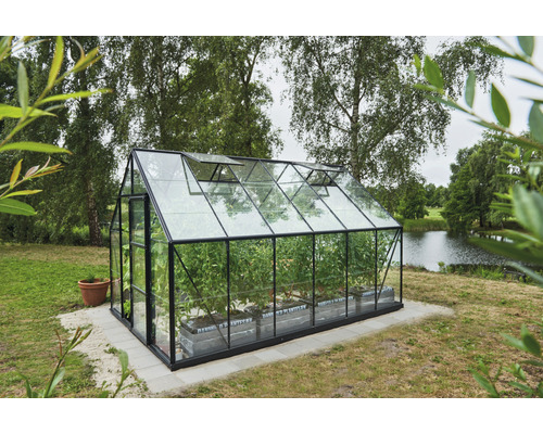 Gewächshaus Halls Universal 128 9,9 m² Blankglas 3 mm 257 x 384 cm schwarz Gewächshaus mit Pflanzen im Garten