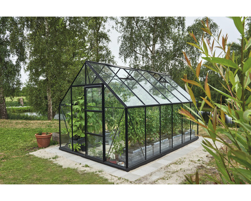 Gewächshaus Halls Universal 128 Sicherheitsglas 3 mm 257 x 384 cm schwarz Gewächshaus mit Pflanzen im Garten