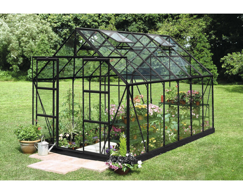 Gewächshaus Halls Magnum 128 Blankglas 3 mm 257 x 384 cm schwarz Gewächshaus Halls Magnum 128 Blankglas 3 mm 257 x 384 cm schwarz