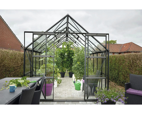 Gewächshaus Halls Magnum 148 Blankglas 3 mm 257 x 446 cm schwarz Gewächshaus Halls Magnum 148 Blankglas 3 mm 257 x 446 cm schwarz
