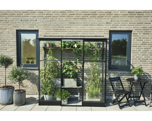 Anlehngewächshaus Halls Qube Lean-To 26 Sicherheitsglas 3 mm 65 x 189 cm schwarz Gewächshaus mit Pflanzen auf Terrasse vor Hauswand