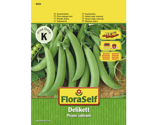 Pois mange-tout 'Delikett' FloraSelf semences stables semences de légumes