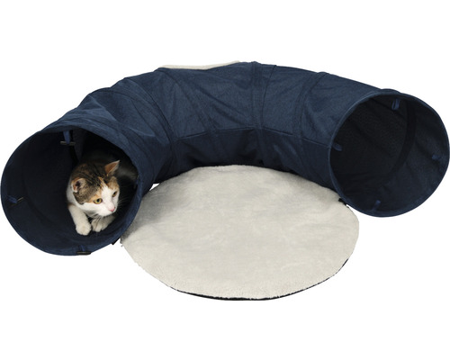 Chat dans un tunnel pour chat avec surface de couchage