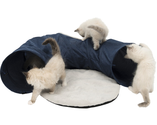 Tunnel pour chat avec coussin et chats jouant