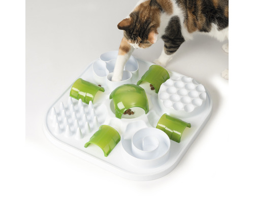 Katze mit Futterspielzeug auf weissem Untergrund