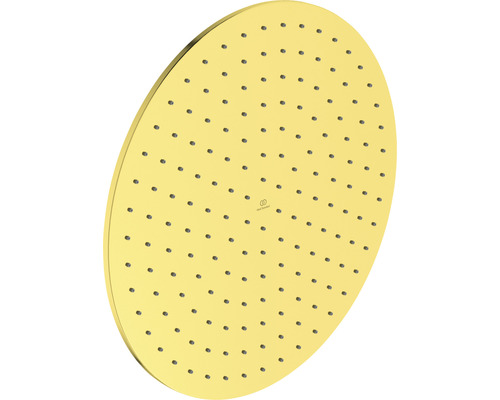 Pomme de douche de tête ronde pour douches