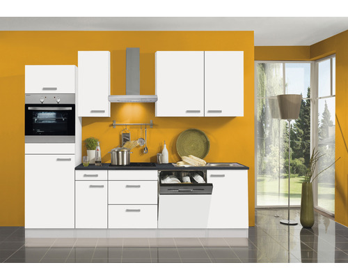 Cuisine complète avec appareils intégrés, évier et lave-vaisselle dans un design clair et moderne