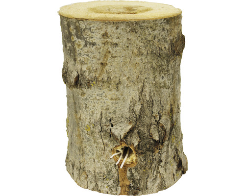 Tronc d''arbre avec trou et tubes à l''intérieur