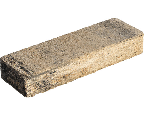 Pierre de construction pierre de départ iBrixx Passion Long calcaire coquillier 60 x 20 x 10 cm