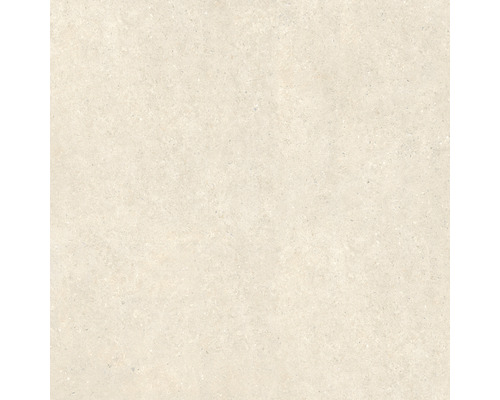 Feinsteinzeug Terrassenplatte Portland Ice rektifizierte Kante 120 x 120 x 2 cm Bodenfliese mit Steindekor