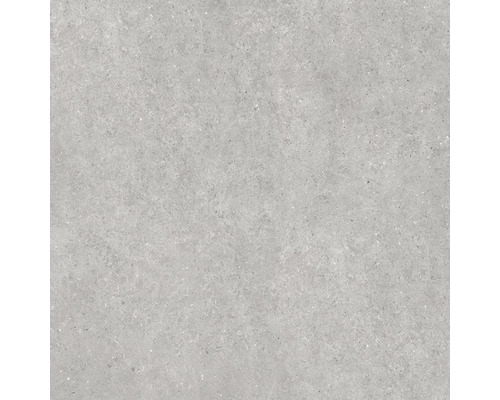 Carreau de sol gris avec une surface mate