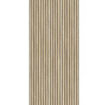 Panneaux en bois avec des lamelles verticales pour la conception des murs et des plafonds