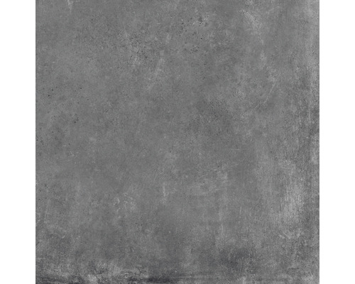 Carrelage sol et mur en grès cérame fin Cortina graphite 81x81 cm
