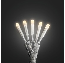 Guirlande lumineuse LED avec lampes claires