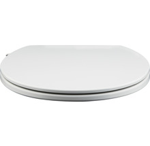 Toilettendeckel aus Kunststoff