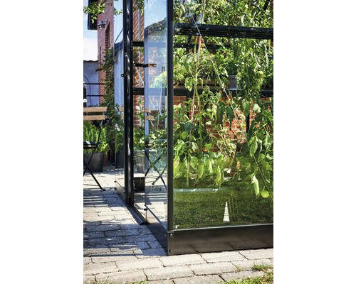 Aussenansicht eines Gewächshauses mit Pflanzen