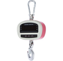 Elektronische Kranwaage mit Haken zum Wiegen von Lasten