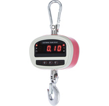 Elektronische Kranwaage mit Haken und Karabinerhaken