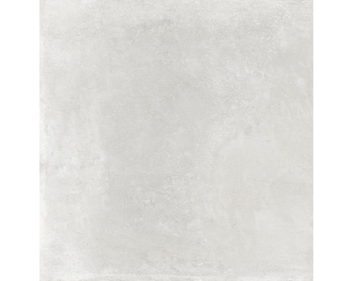Carrelage sol et mur en grès cérame fin Greenwich Perla 80 x 80 cm gris perle