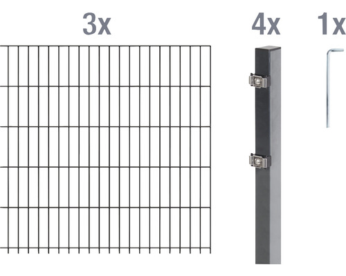 Ensemble de grillage de clôture à double fil ALBERTS 6/5/6 600 x 140 cm anthracite