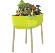 Jardinière surélevée avec plants de tomates et outils de jardinage