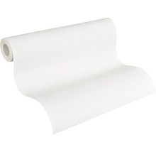 Vliestapete 2458-16 Meistervlies ProProtect Feinputz weiss