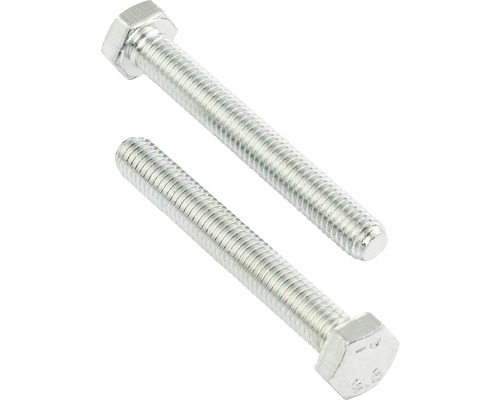 Zwei Sechskantschrauben aus Metall