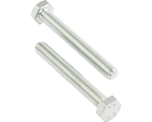 Zwei Sechskantschrauben aus Metall