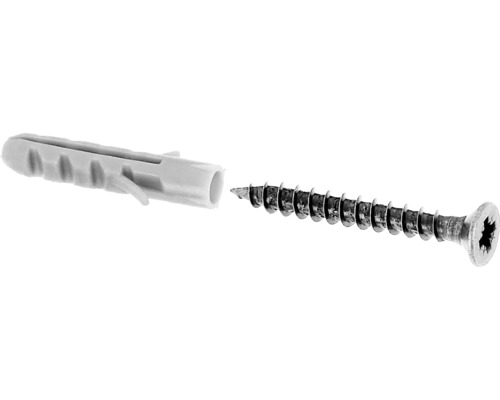 Kit de vis et chevilles Ø 3x25 mm 10 unités chacun galvanisé Cheville et vis pour la fixation