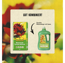 Blumendünger mit Guano 1 l