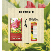 Langzeit-Düngestäbchen für Grün- & Zierpflanzen FloraSelf Select 30 Stk-thumb-1