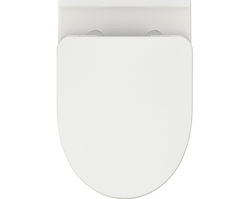 Couvercle de toilette en plastique