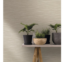 Gros plan d''un mur avec du papier peint à motifs horizontaux et diverses plantes d''intérieur sur une table en bois