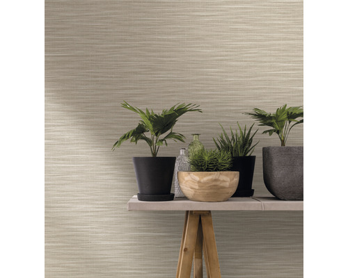 Gros plan d''un mur avec du papier peint à motifs horizontaux et diverses plantes d''intérieur sur une table en bois