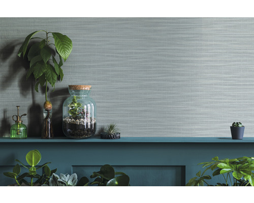 Plantes d''intérieur décoratives dans des verres et des pots sur une étagère devant un mur structuré.