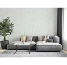 Wohnzimmer mit grauer Couch, Teppich und Zimmerpflanze