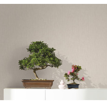 Dekorative Bonsai-Bäume in Schalen auf einem weißen Regal