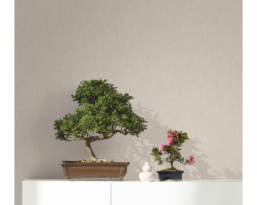 Dekorative Bonsai-Bäume in Schalen auf einem weißen Regal