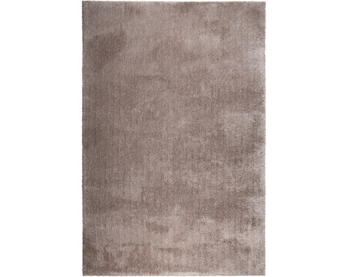 Tapis Shaggy Wellness taupe 200x300 cm