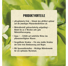 Zitrus- und Mediterranpflanzerde FloraSelf Select® 15l-thumb-1