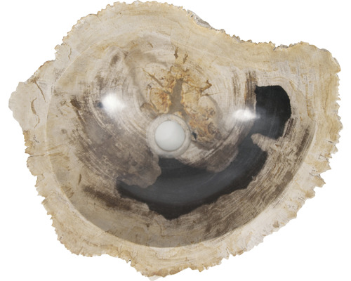 Waschtisch aus versteinertem Holz