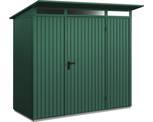 Abri de jardin Hörmann EcoStar Trend-P type 1 RAL6005 porte à un vantail 247.9 x 153 cm vert