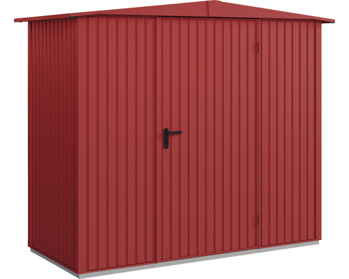 Abri de jardin métallique avec double porte