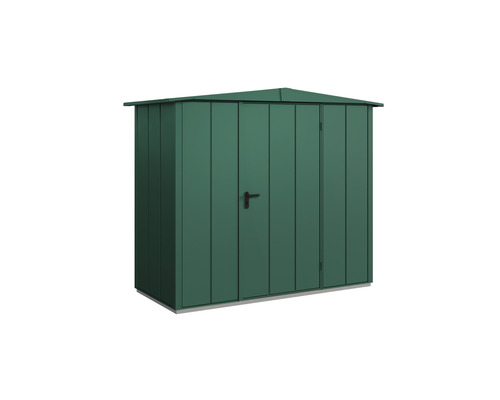 Abri de jardin Hörmann EcoStar Elegant-S type 1 RAL6005 porte à un vantail 258.8 x 121.3 cm vert